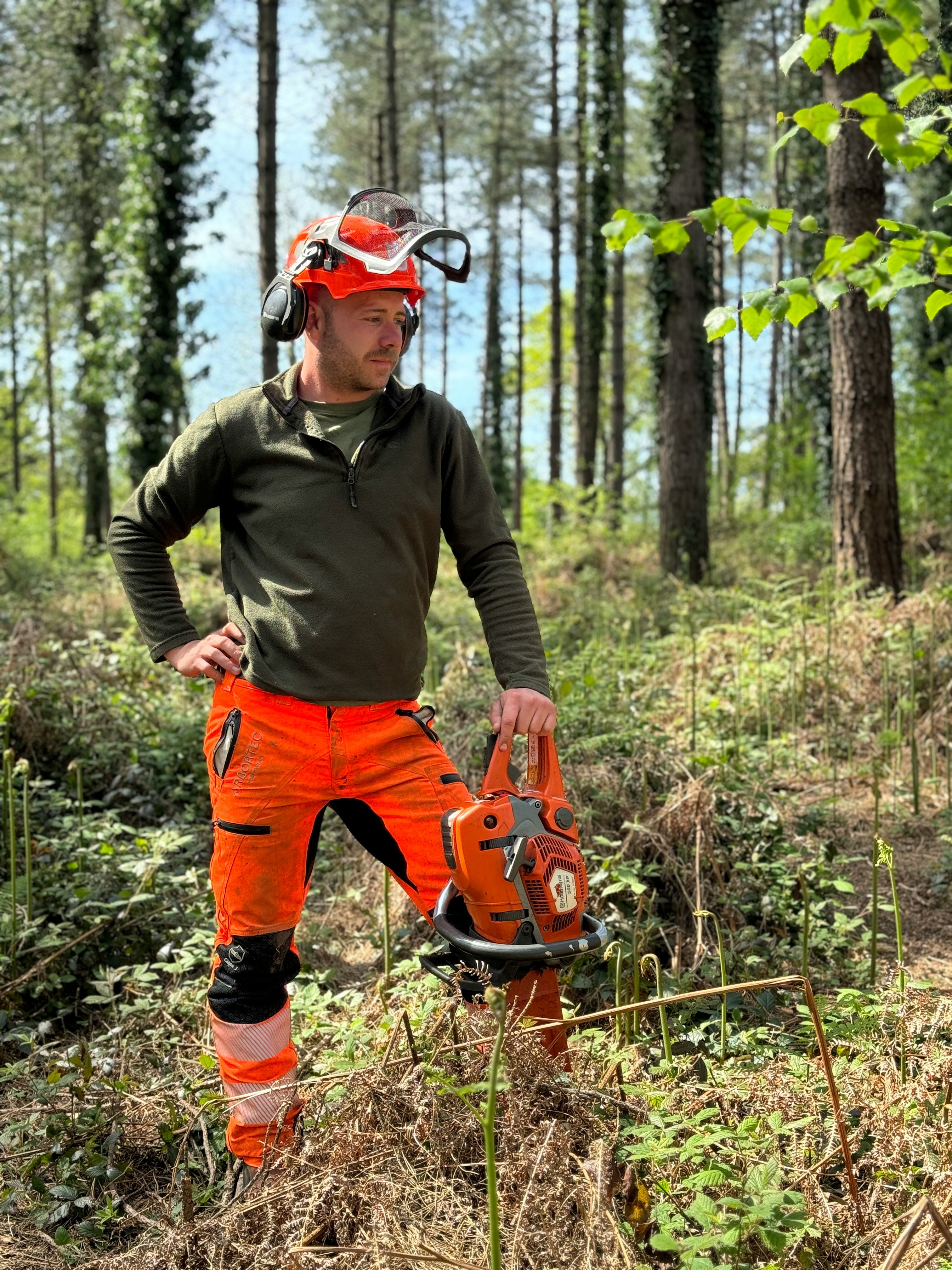 Arborists & Tree Care